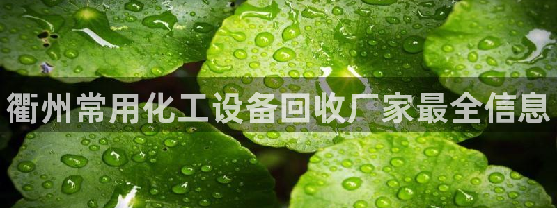 美狮贵宾会邀请码