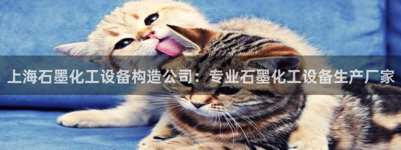 美狮会是正规平台吗?