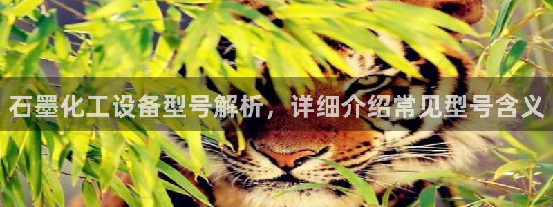 美狮贵宾会登录网址是多少