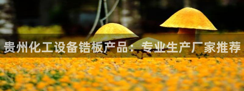 美狮科技有限公司