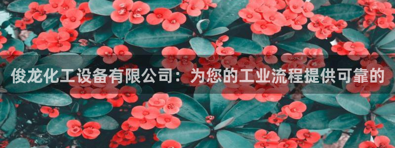 美狮贵宾会开了几年了