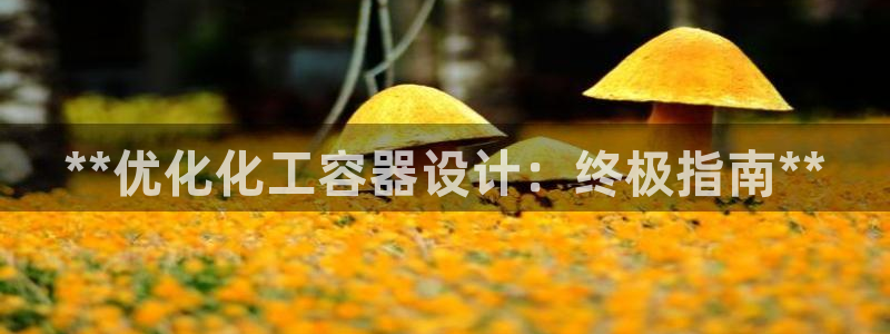 美狮外汇合法吗