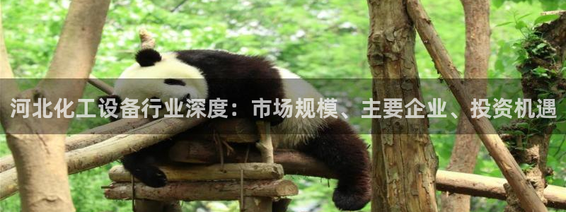 美狮贵宾会官网网址