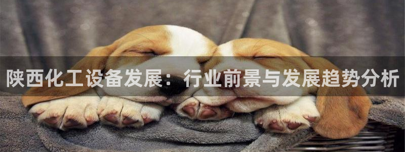 美狮贵宾会bbgames