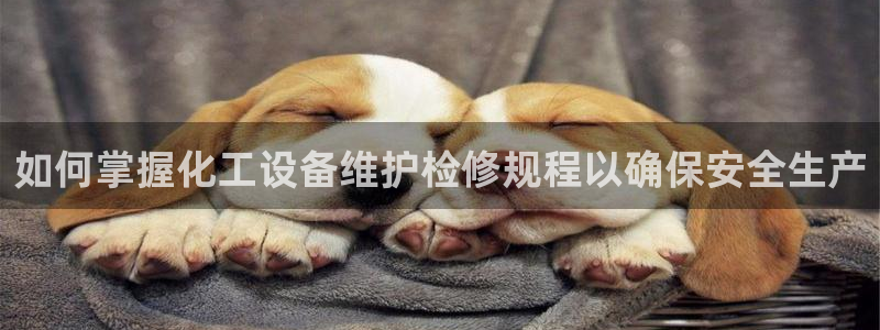 美狮贵宾会登录网址是什么