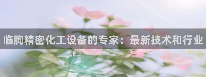 美狮是什么