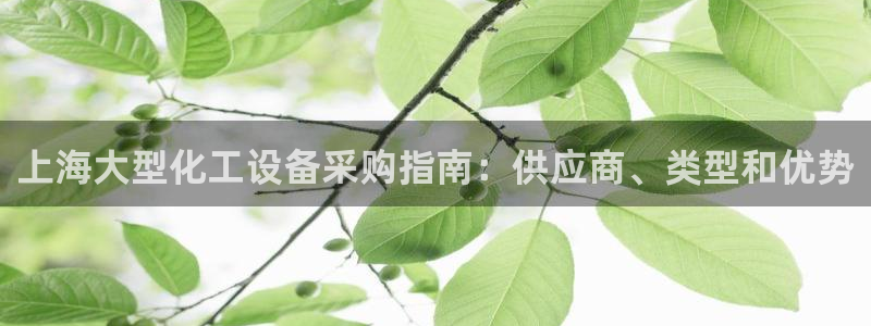 美狮贵宾会快充值中心