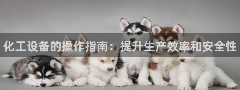 美狮会客服官网
