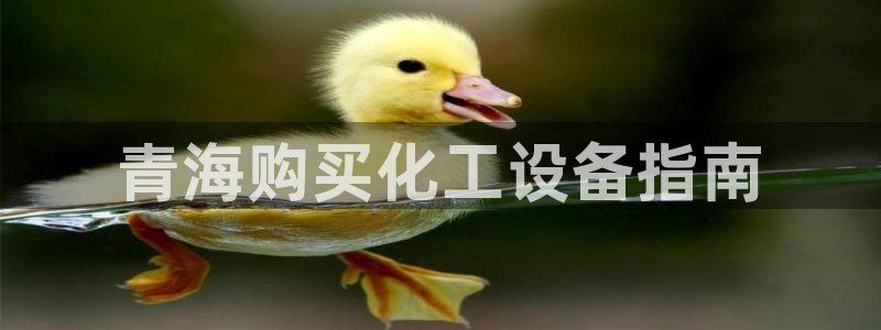 美狮贵宾会0923344
