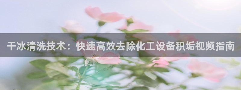 美狮实业有限公司