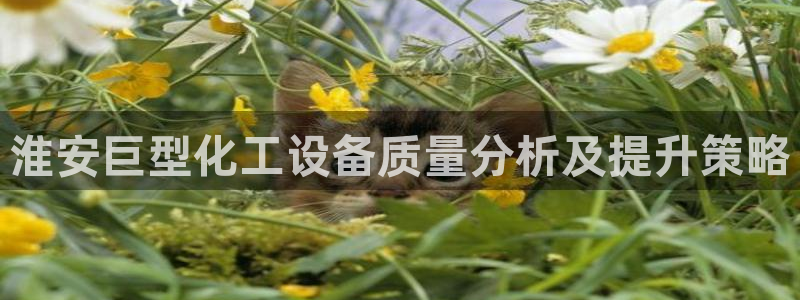 美狮会员注册码是什么