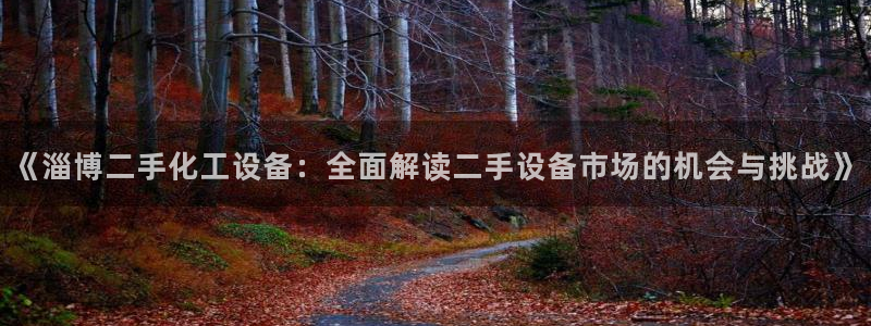 美狮贵宾会怎么不到了