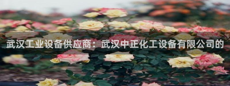 美狮会员卡等级划分