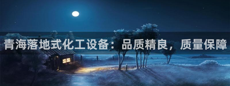 美狮国际控股集团