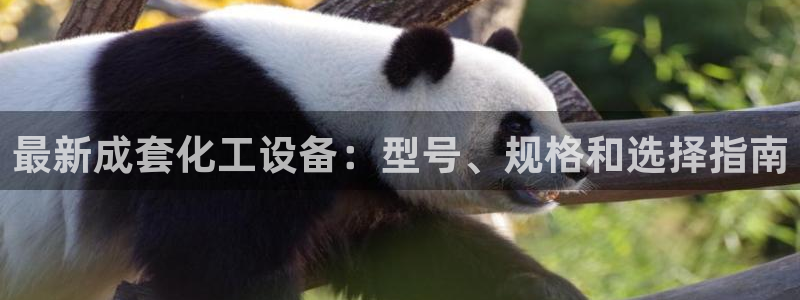 美狮贵宾会网址是什么